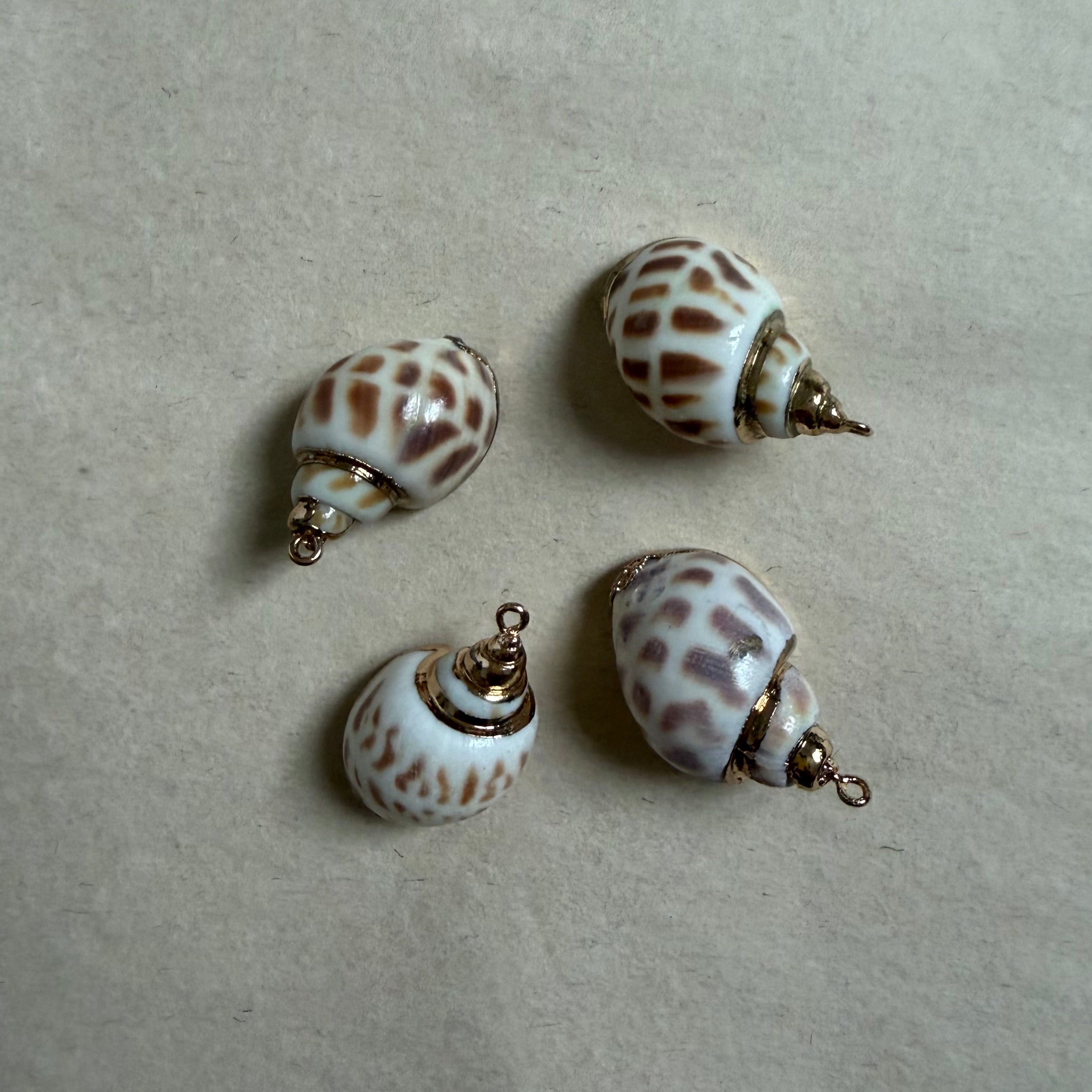 Collier Conche