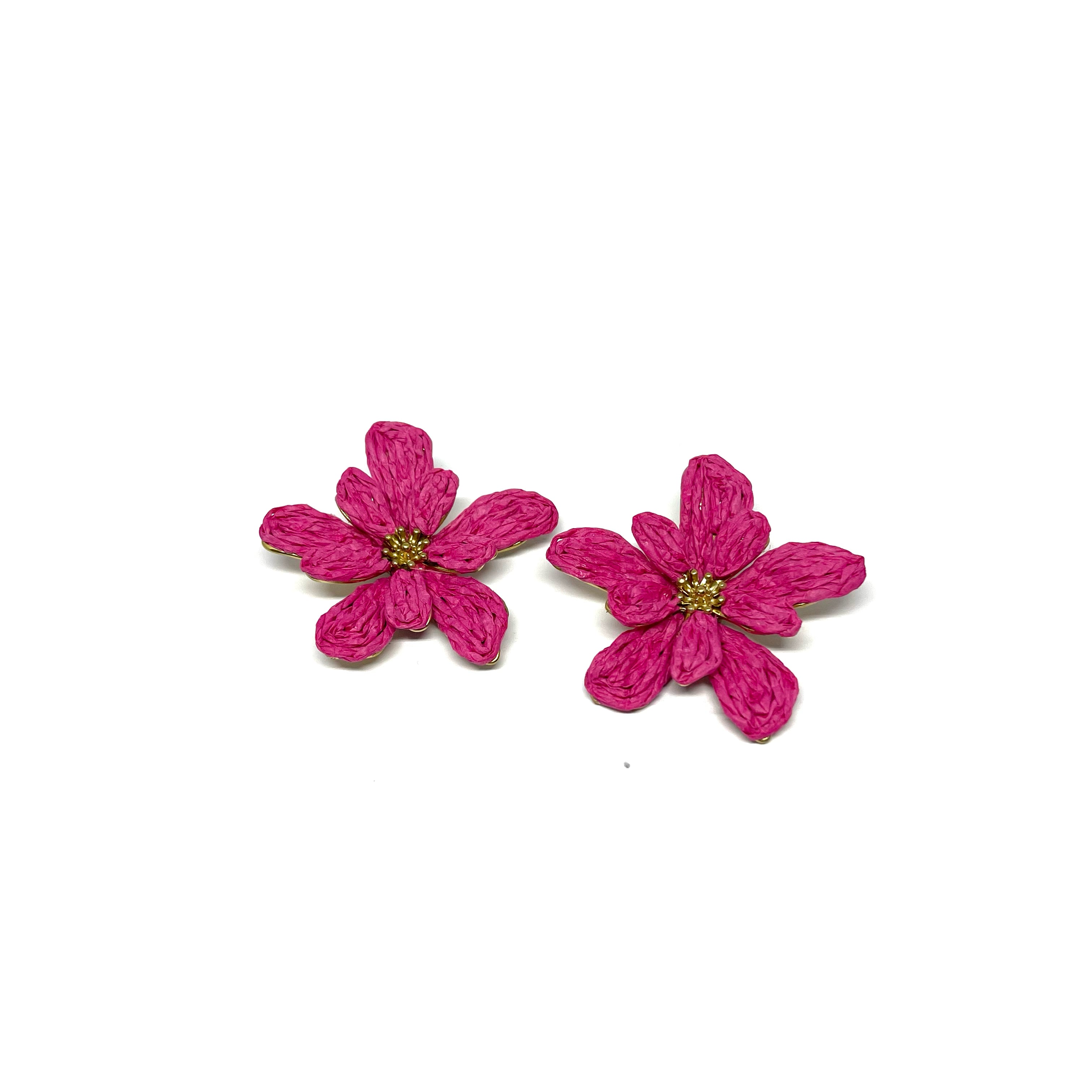 Boucles d’oreilles Raph - rose