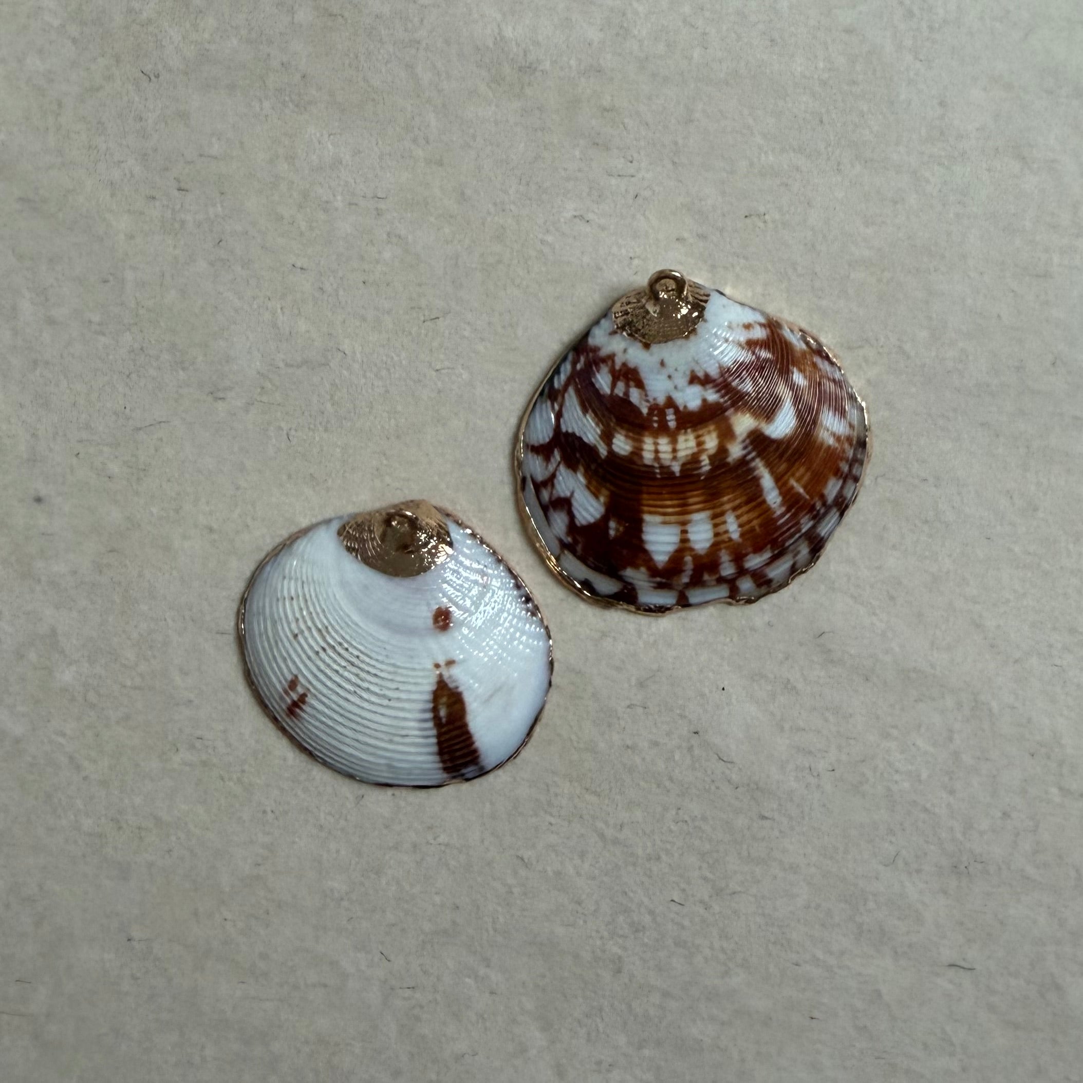 Collier Conche
