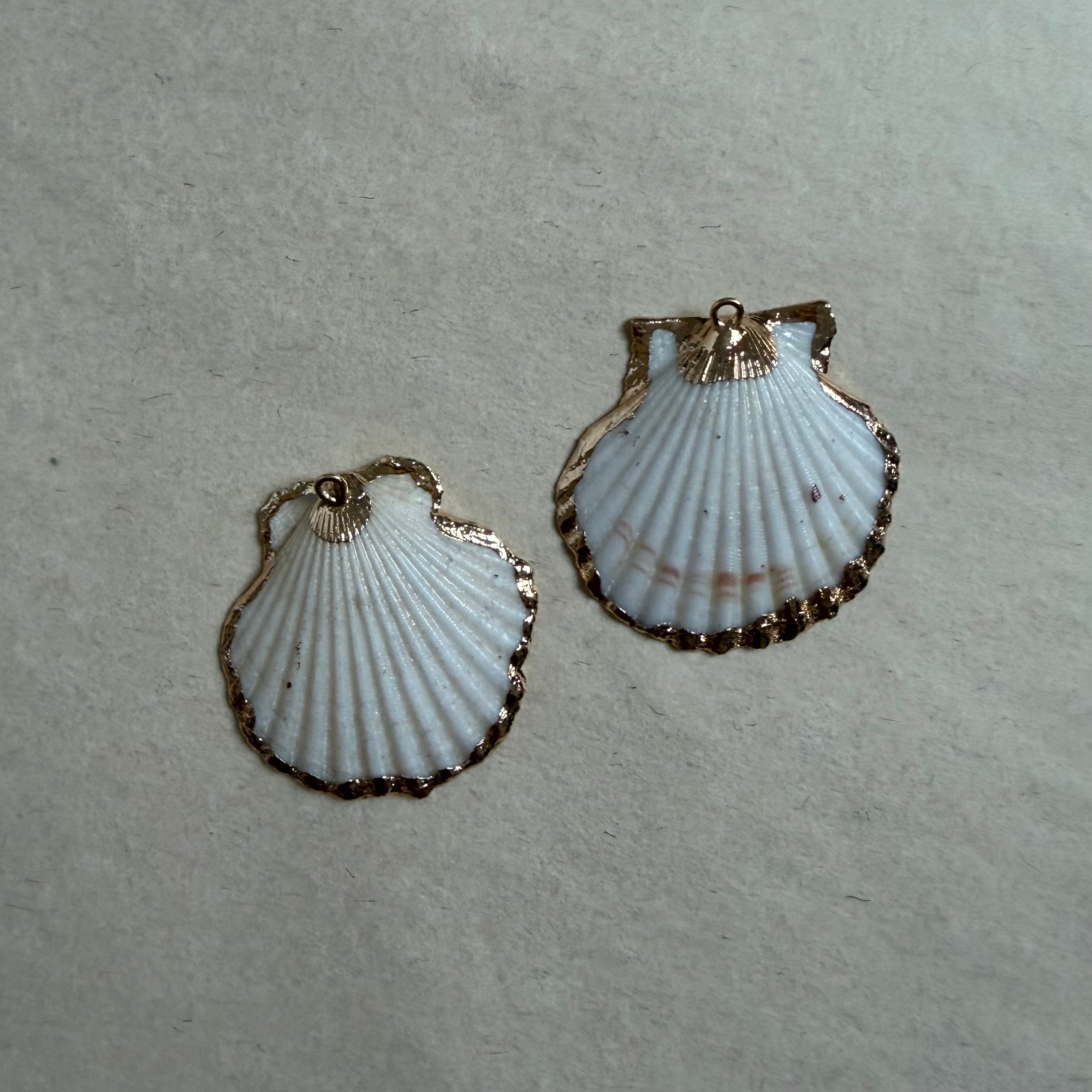 Collier Conche